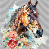 Animal Integration-DW 398